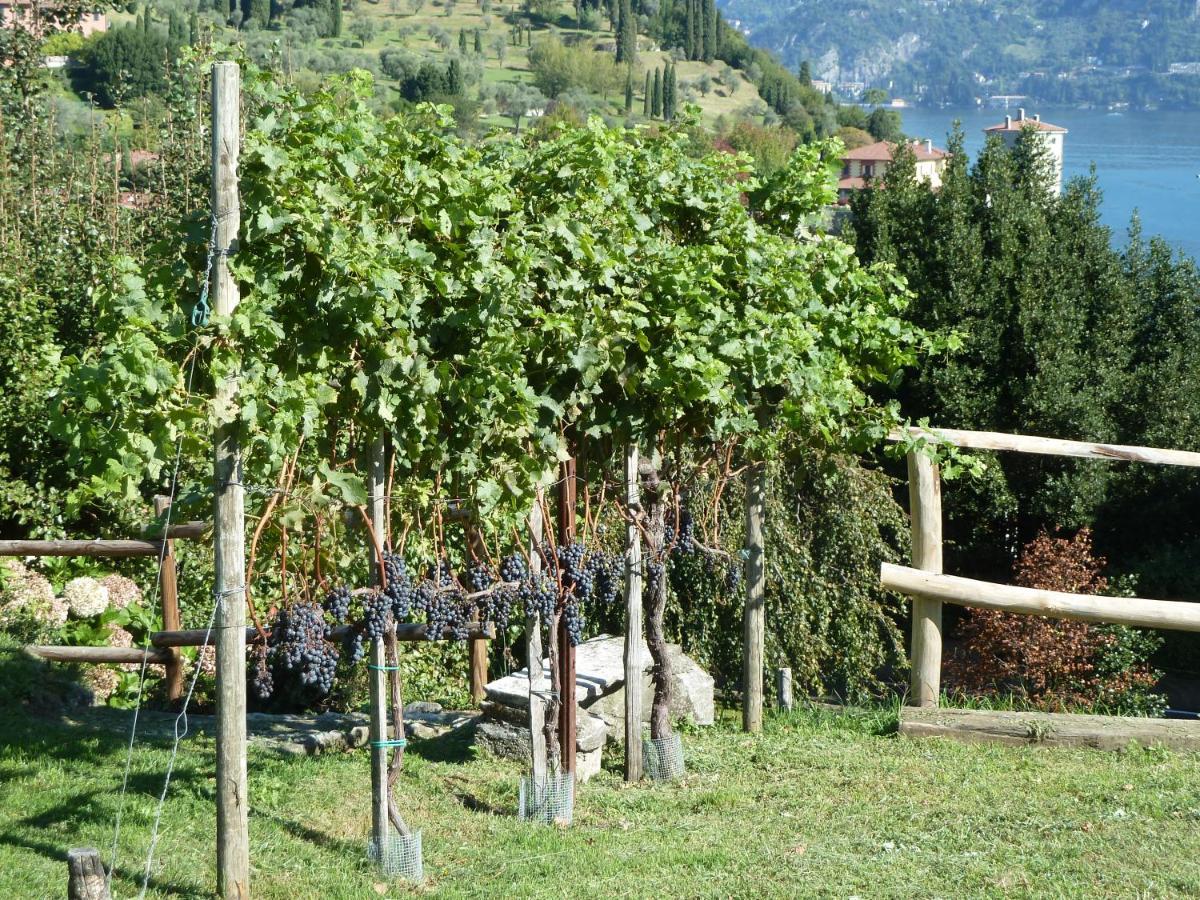 Villa Bellagio Il Crotto Exterior foto