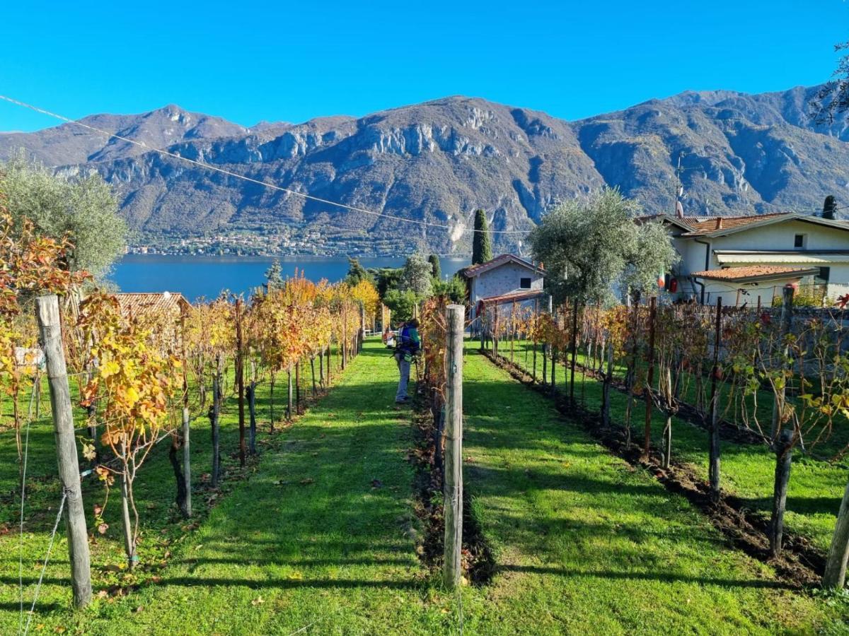 Villa Bellagio Il Crotto Exterior foto