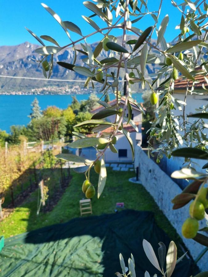Villa Bellagio Il Crotto Exterior foto